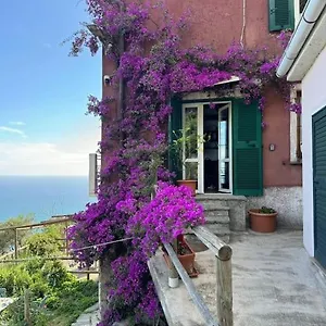 Amazing Flat At The Heart Of 5 Terre National Park Vernazza